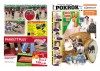 36_2009_pokrok.jpg